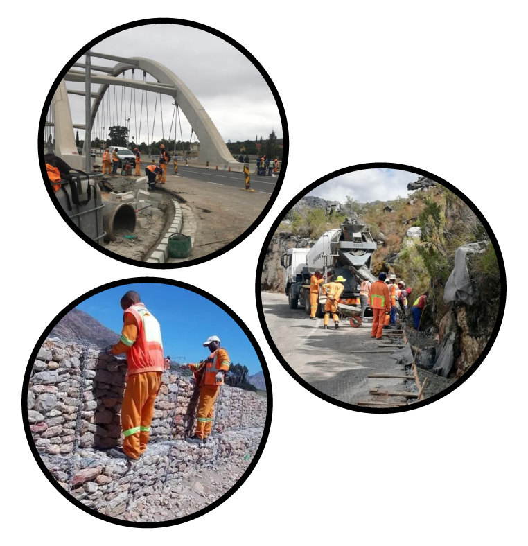 Alc Projects Web Img 01